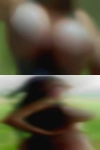 meaghanKneifl346, , 