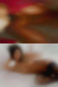 SilvioSuite, , 