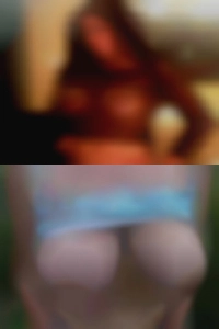 Laurinellscholl, , 